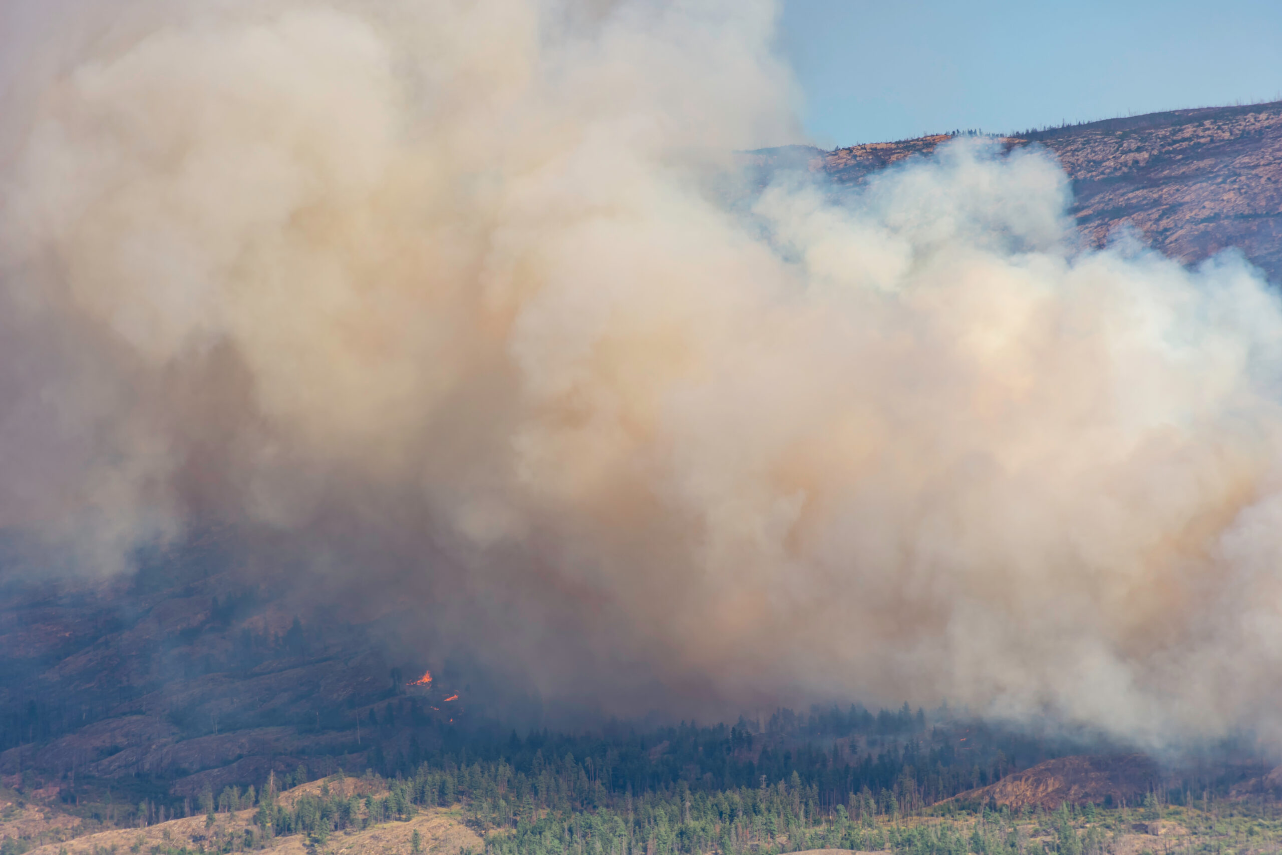 Wildfire Season, Wildfire Preparedness, Facilities Management Wildfire Safety, Protecting Properties from Wildfires, Wildfire Season Preparation, Wildfire Safety Measures for Facilities